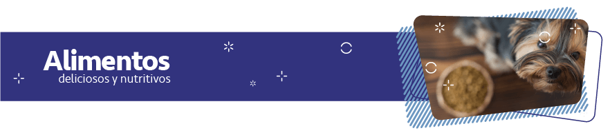 alimentos para mascotas