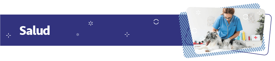 Cuidado y Salud de la Mascota