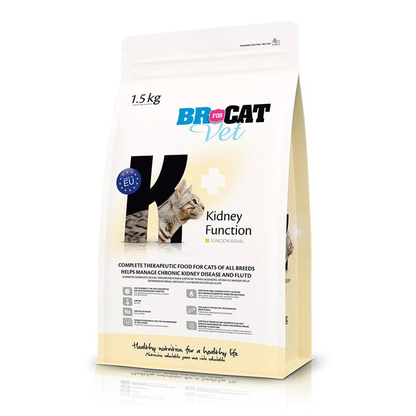Br For Cat Vet Kidney Function