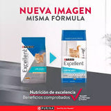 Excellent Gato Adulto Urinary