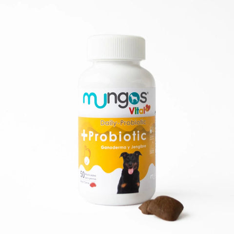 Mungos vital Probiotic x 50 und