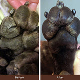 Balsamo Paw Soother Barra