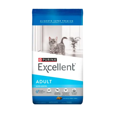 Excellent Gato Adulto