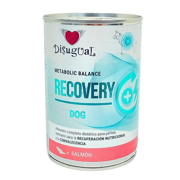 Disugual Recovery Perro