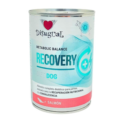 Disugual Recovery Perro