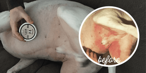 Balsamo Skin Soother Barra