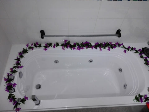 Peluquería Canina Y felina