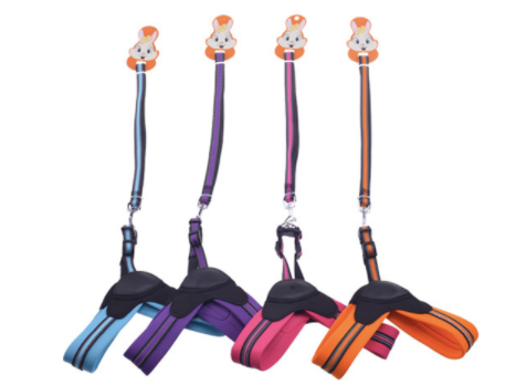 Trailla y Arnés Premium Talla M