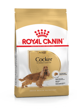 Royal Canin Cocker Adulto 3 Kg