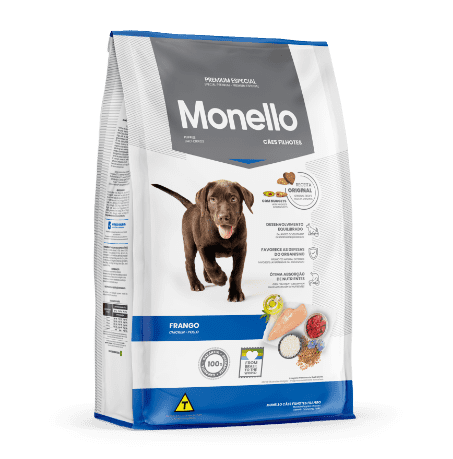 Monello Perro Cachorro