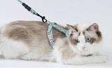Traílla y Arnés Para Gato Colores Variados