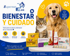 Salud y Bienestar