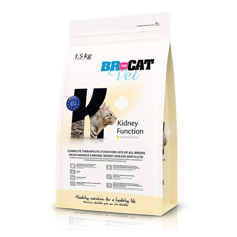 Br For Cat Vet Kidney Function