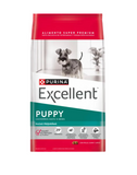 Excellent Perro Cachorro Small Breed