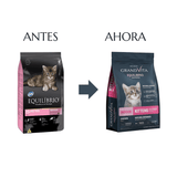 Grand Vita Equilibrio Gatitos