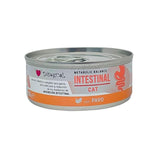 Disugual Intestinal Gato
