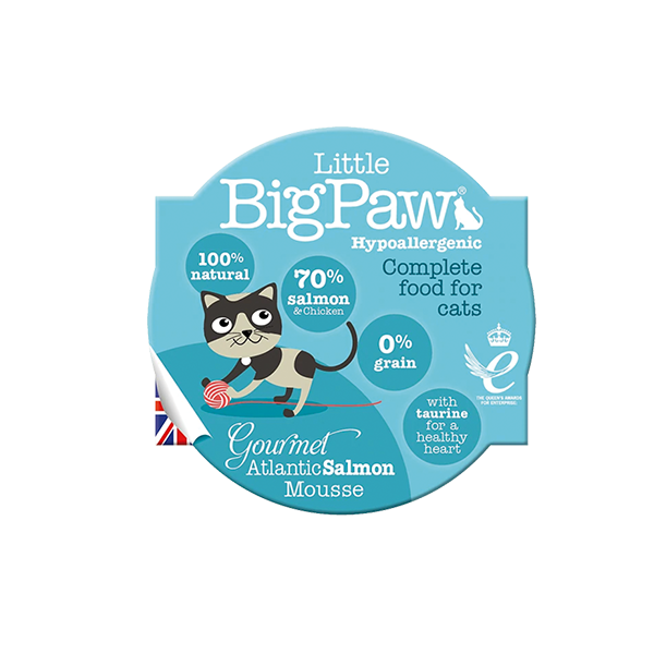 Little Big Paw Cat Salmon del Atlantico 85 Gr