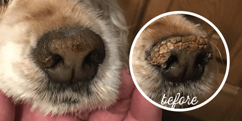 Balsamo Snout Soother