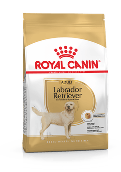 Royal Canin Labrador Adulto 13.6 Kg