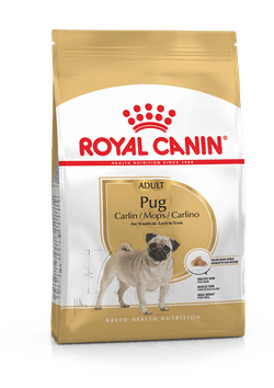 Royal Canin Pug Adulto 3 Kg