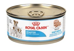 Royal Canin Lata Starter Mousse 145 Gr