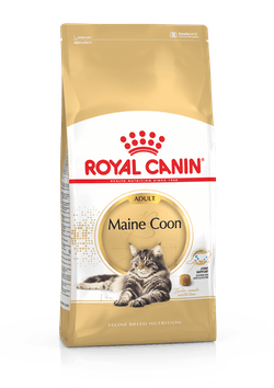 Royal Canin Maine Coon Adulto 2 Kg