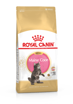 Royal Canin Maine Coon Kitten 4 Kg