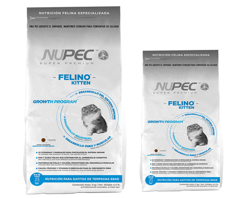 Nupec Felino Kitten