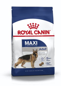 Royal Canin Maxi Adulto