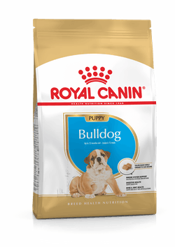 Royal Canin Bulldog Ingles Puppy