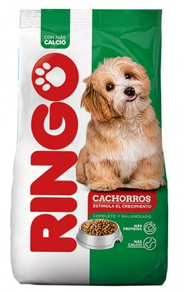 Ringo Perros Cachorros